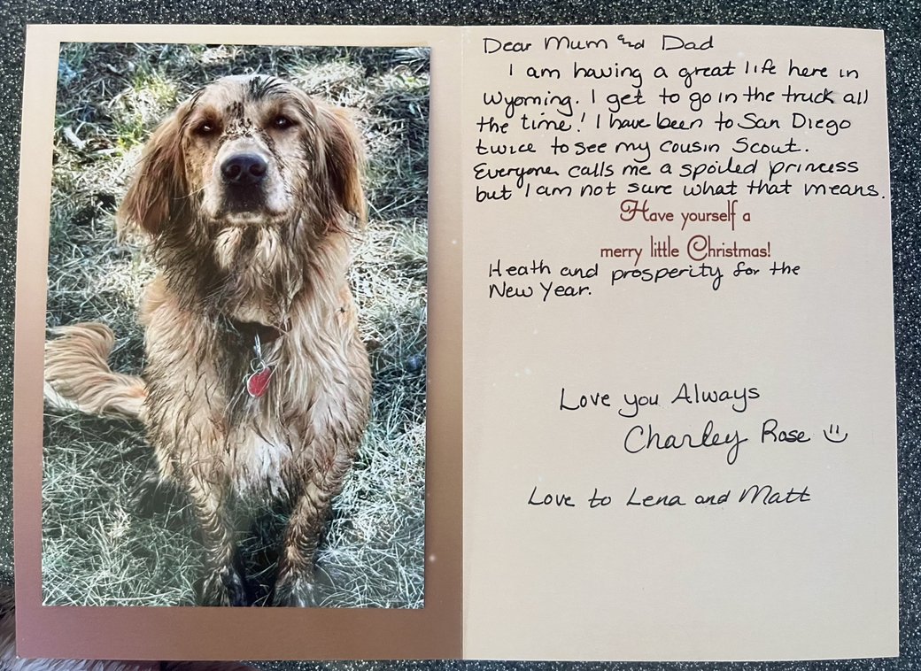 A Christmas card from Charley Rose — a muddy, happy golden retriever sitting in frosted grass, with a handwritten note from her family in Wyoming
