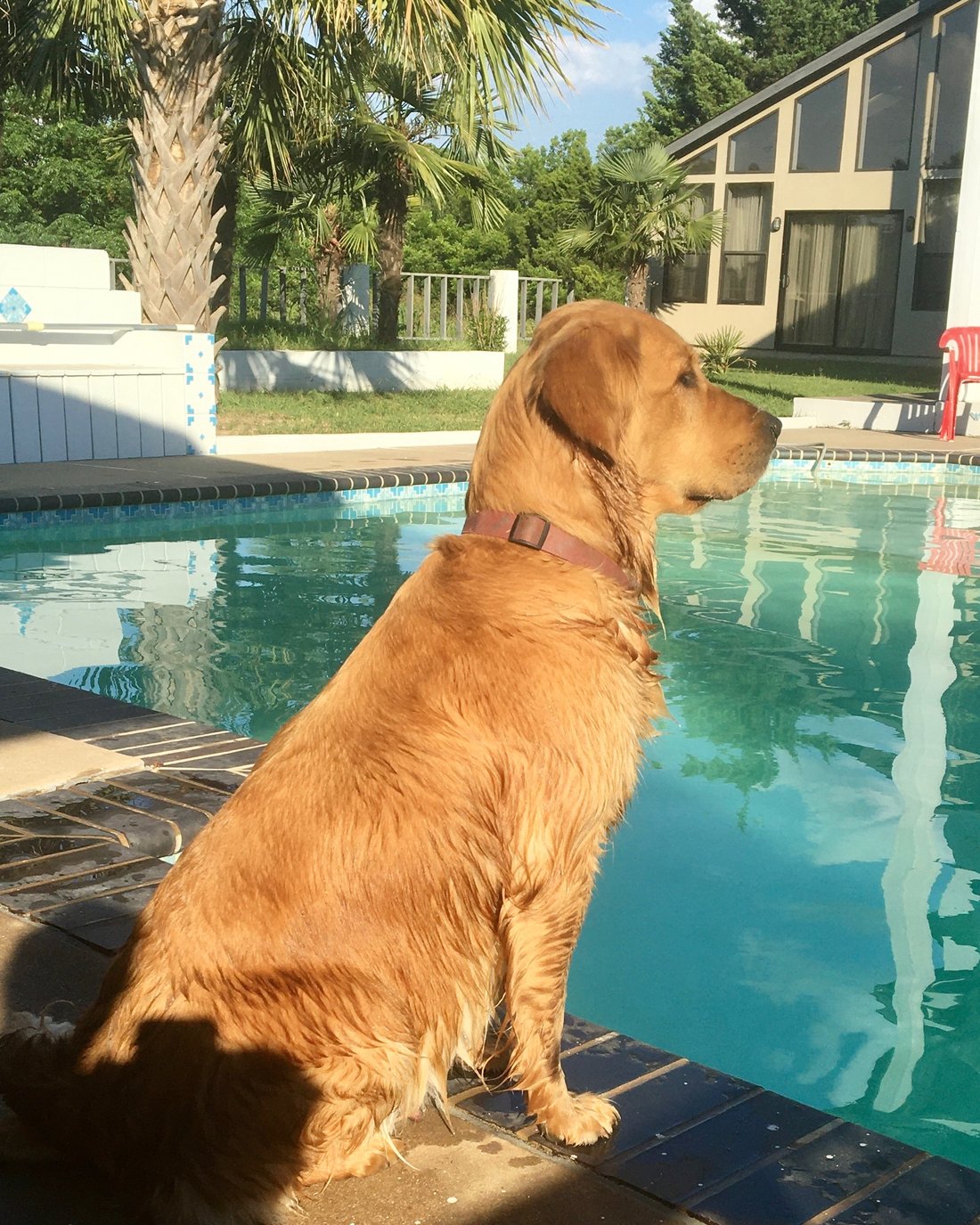 Lilly